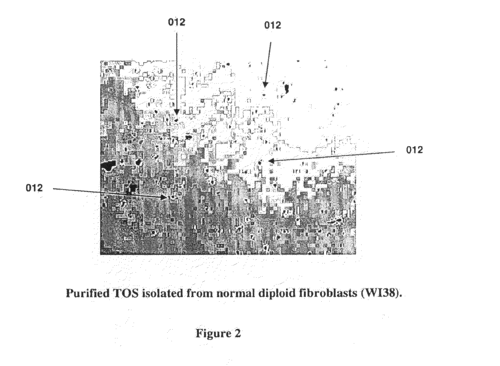 Tissue organizing structure and therapeutic methods