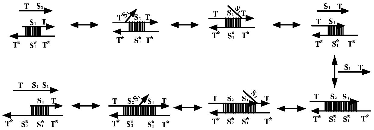 Implementation method of three-cascade molecular combinational circuit based on DNA strand displacement