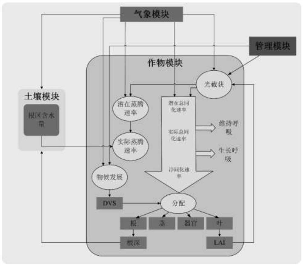 Pixel scale winter wheat per unit yield remote sensing estimation method based on multi-scenario simulation