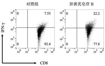 New application of isoastragaloside II in preparation of tumor immune treatment drugs