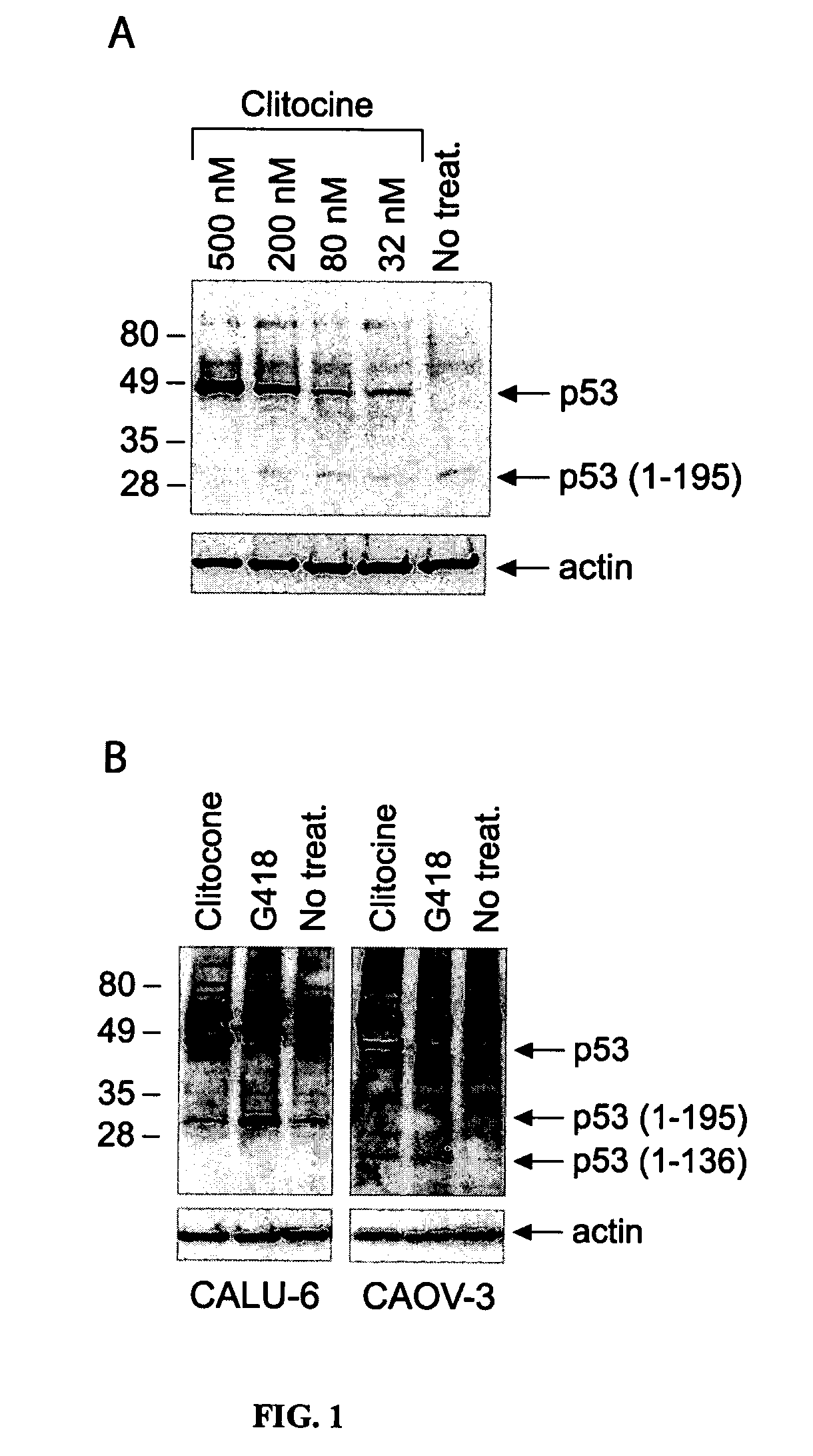 Nucleoside compounds and their use for treating cancer and diseases associated with somatic mutations