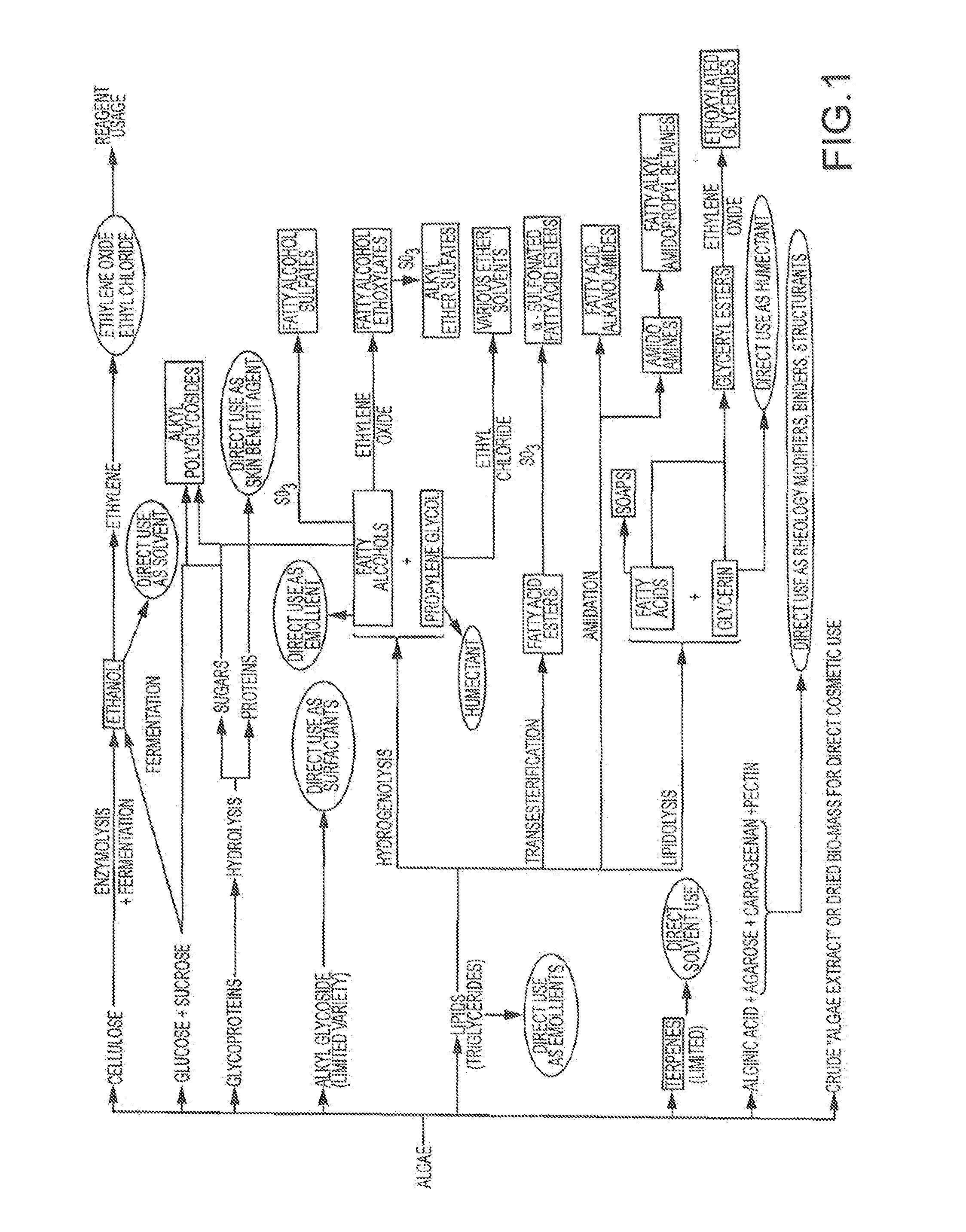 Consumer products comprising algae derived ingredients
