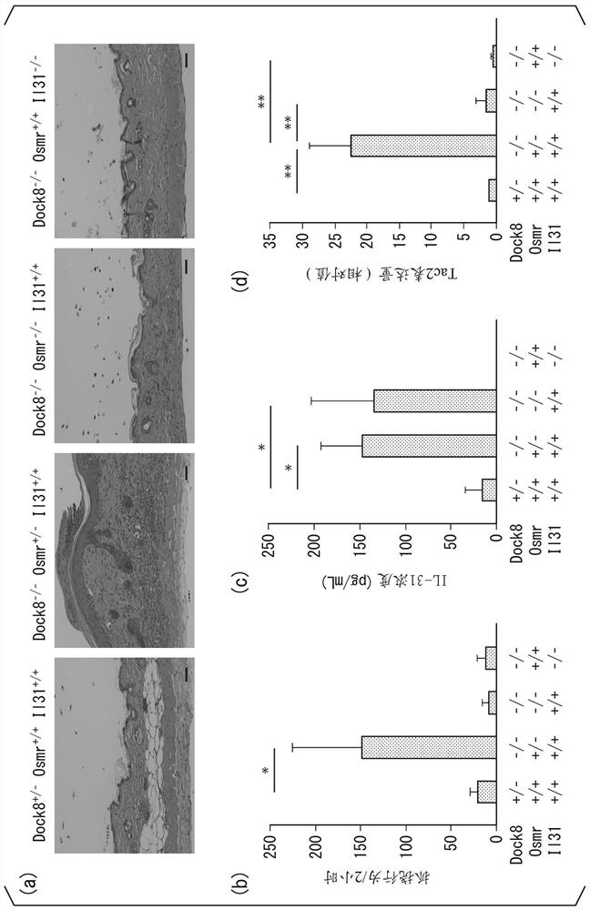 Prophylactic or therapeutic agent and medicinal composition for il-31 mediated disease