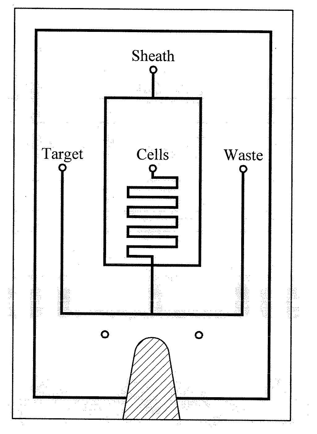 Cell Sorting System and Methods