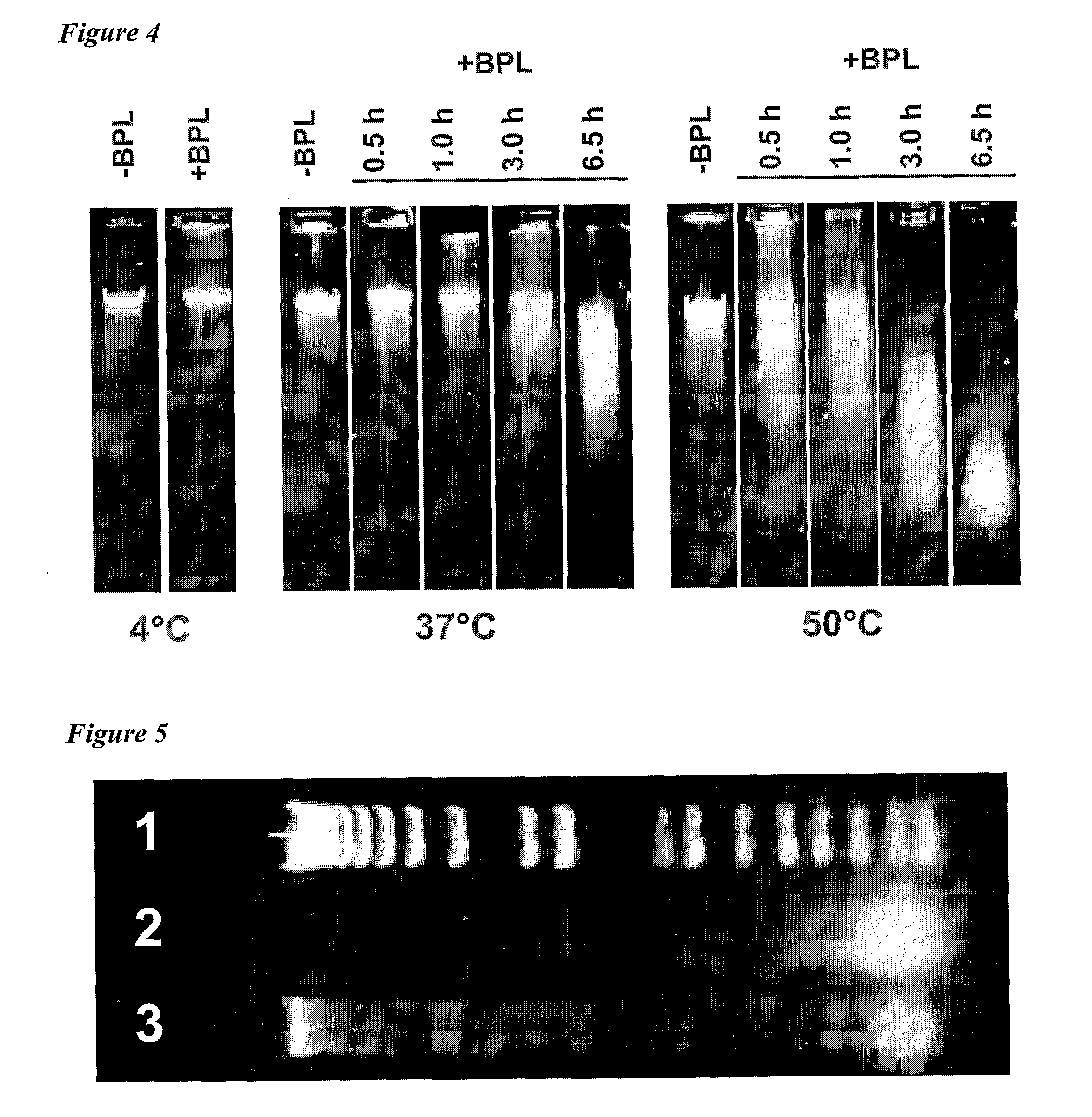 Cell-derived viral vaccines with low levels of residual cell DNA