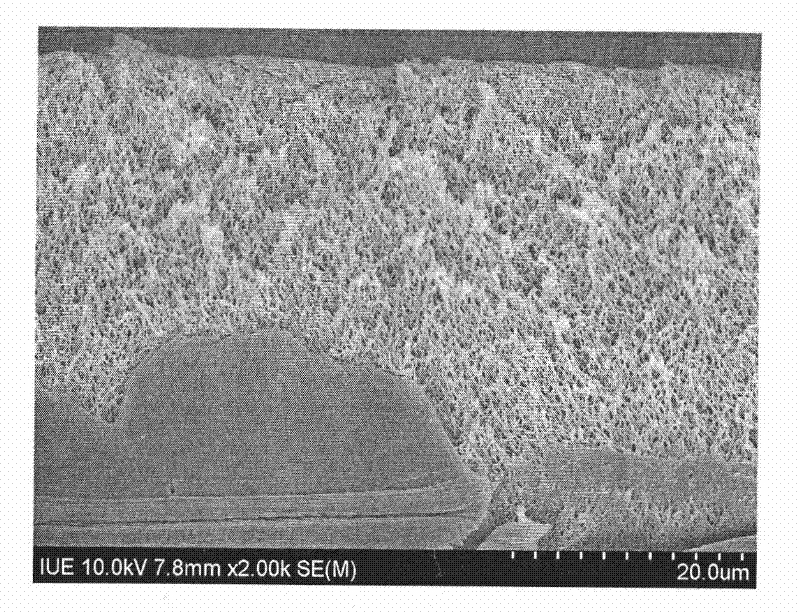 Preparation method of nanofiltration membrane for dye concentration and desalination
