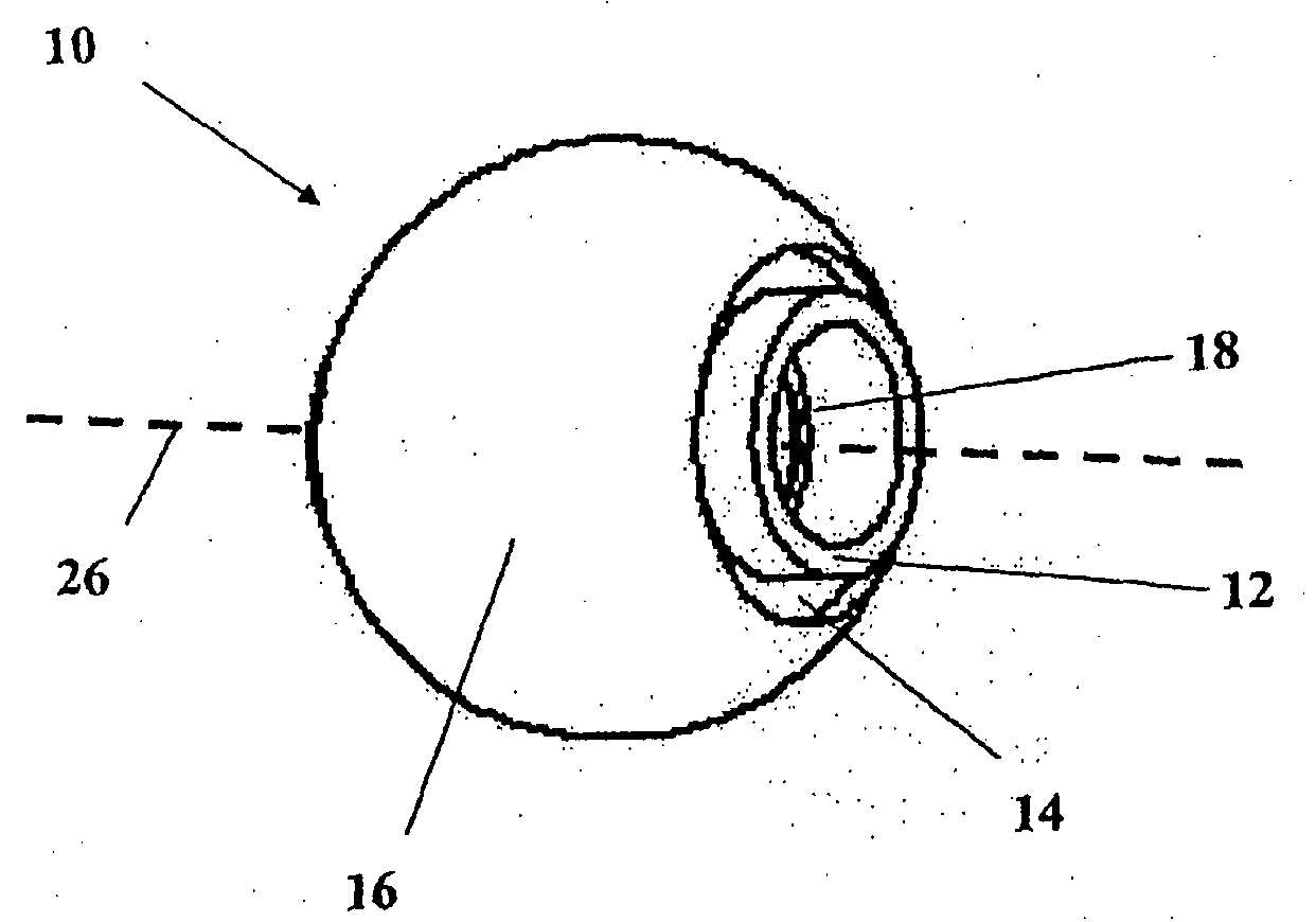 Polishing wheel