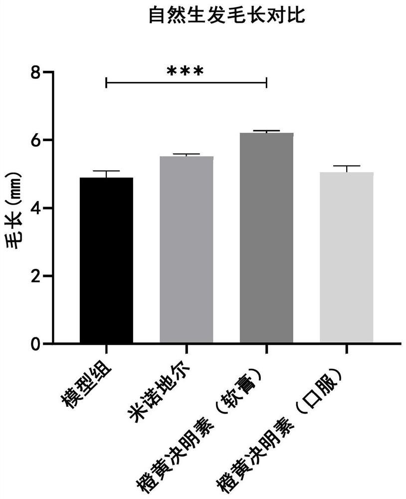 Use of aurantio-obtusin in hair loss prevention and hair growth