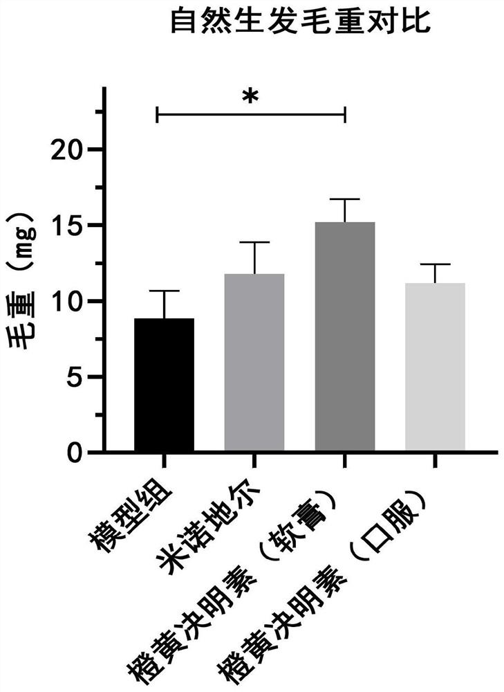 Use of aurantio-obtusin in hair loss prevention and hair growth