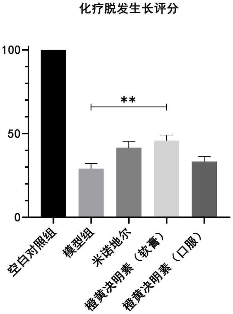 Use of aurantio-obtusin in hair loss prevention and hair growth