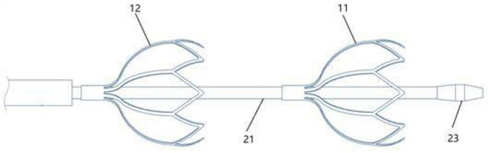 Double-ball-cage electrode catheter device for ablation of tissue in human body cavity