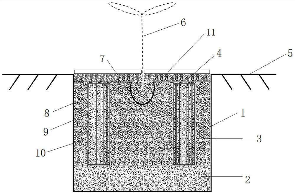 Planting system and method suitable for gingko