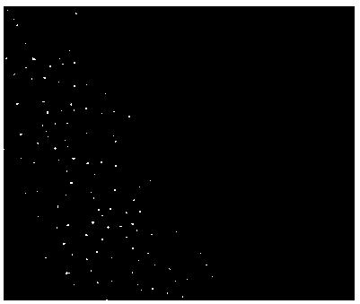 Military fuel mainly using petroleum coke as raw material, and preparation method thereof