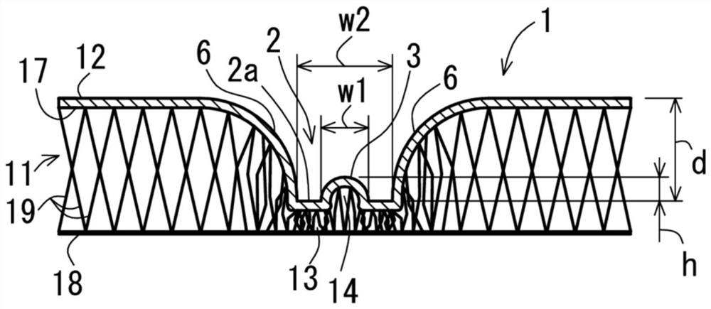 Skin material and method for producing same