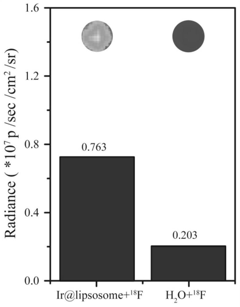 Application of a metal iridium complex nanoparticle in nuclide-excited phosphorescence imaging