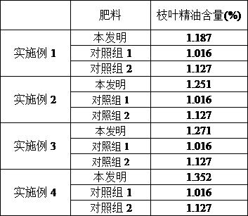 A special fertilizer for increasing the essential oil content of 4-terpineol-type Melaleuca melaleuca branches and leaves