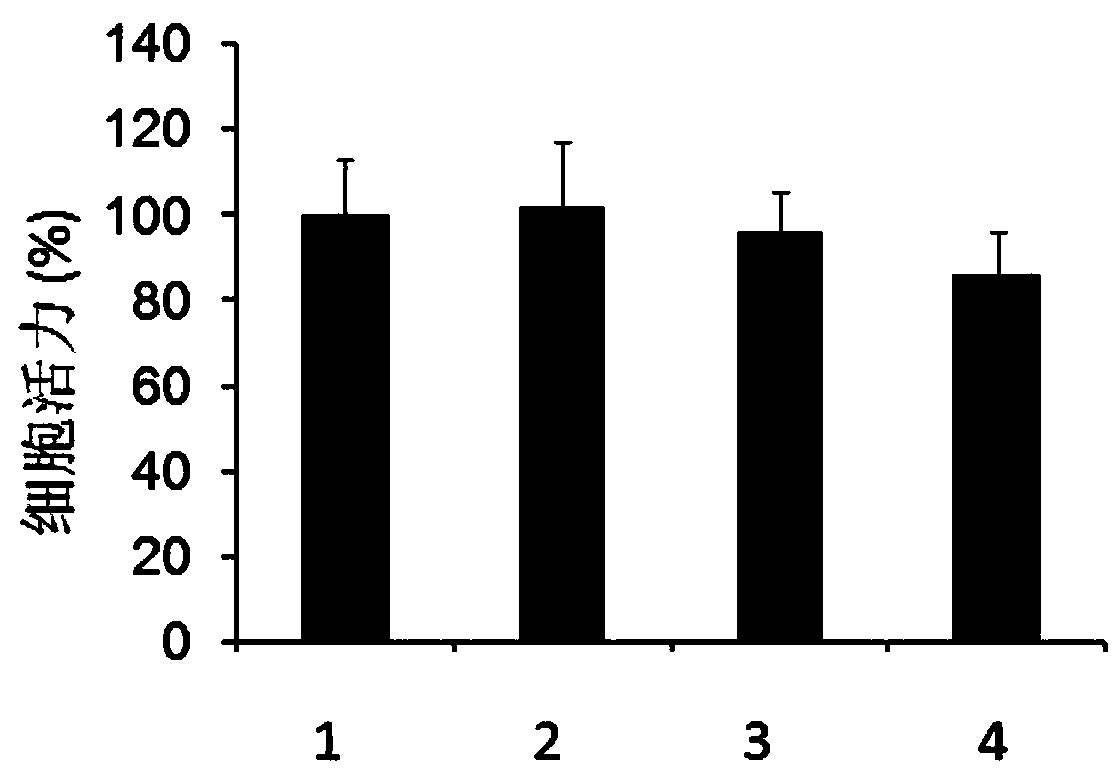 New application of piceatannol in preventing and treating human cytomegalovirus infection