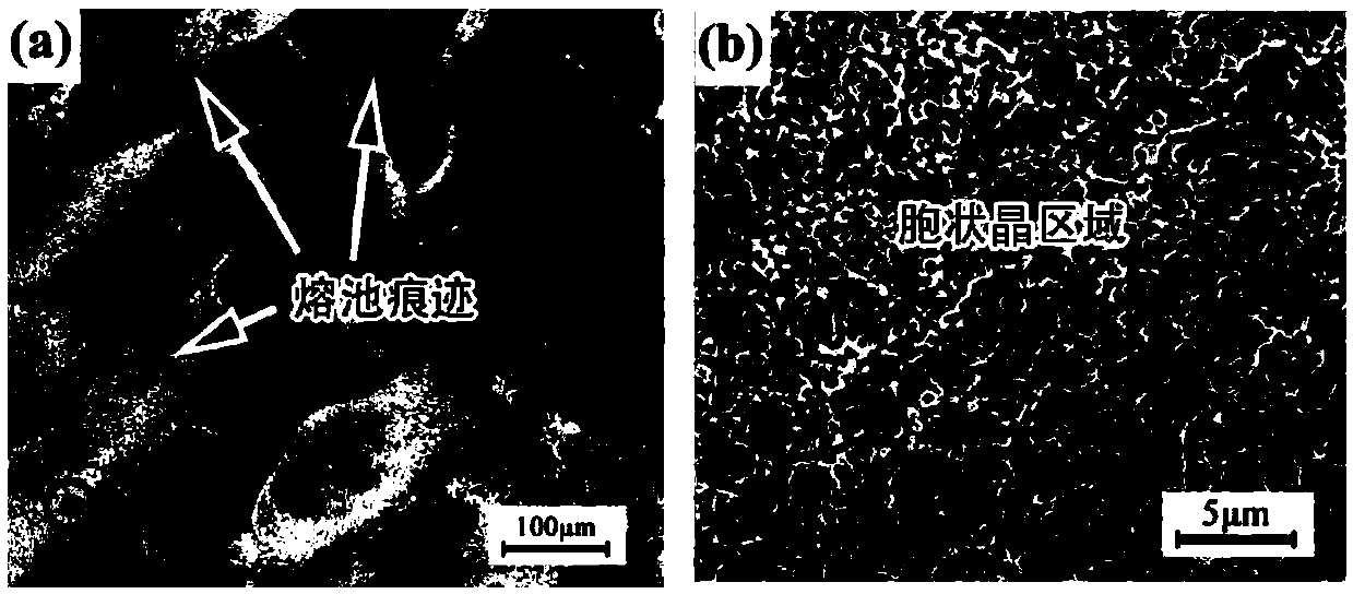 4D printing method and application of titanium-nickel shape memory alloy