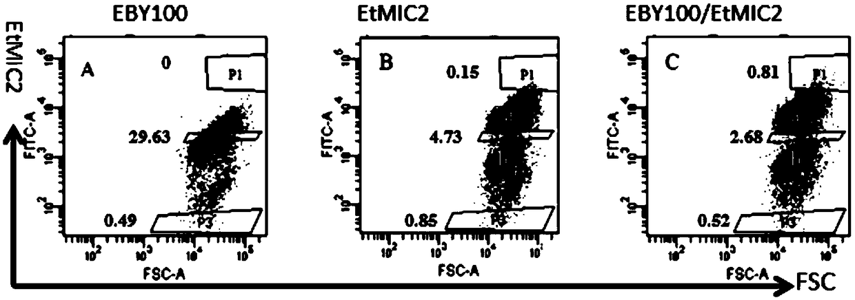 A chicken Eimeria tenella micronematode-2 mutant etmic2-2119