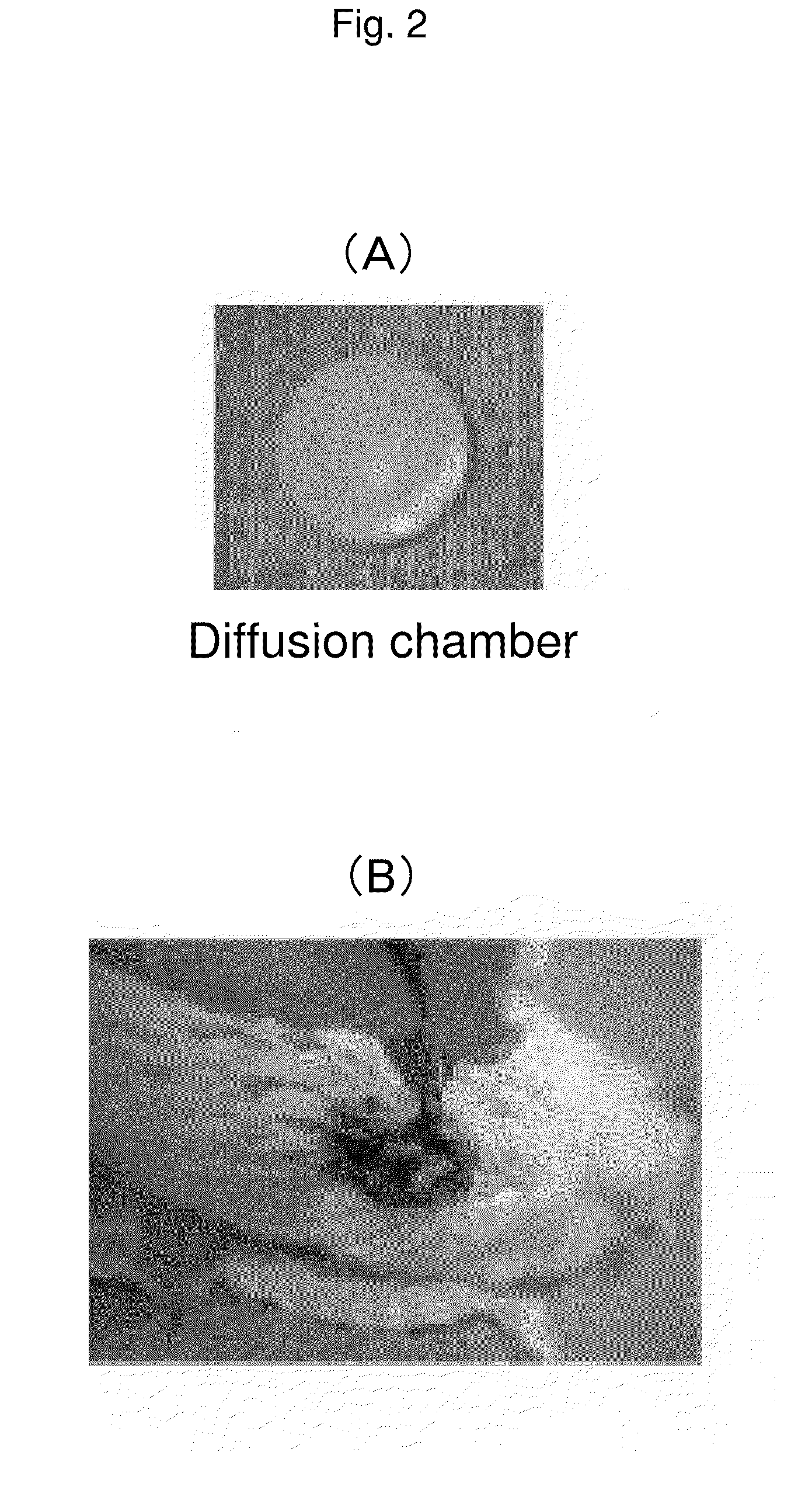 Material for preventing tissue adhesion and material for preventing joint contracture