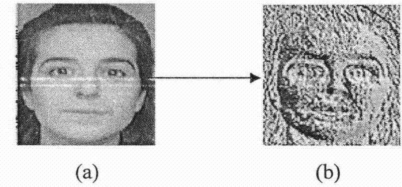Face Tracking Method Based on Classification Recognition