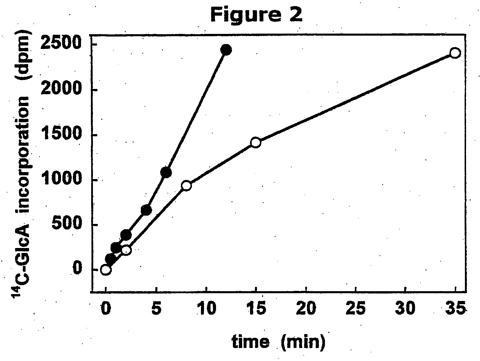 Natural, chimeric and hybrid glycosaminoglycan polymers and methods making and using same