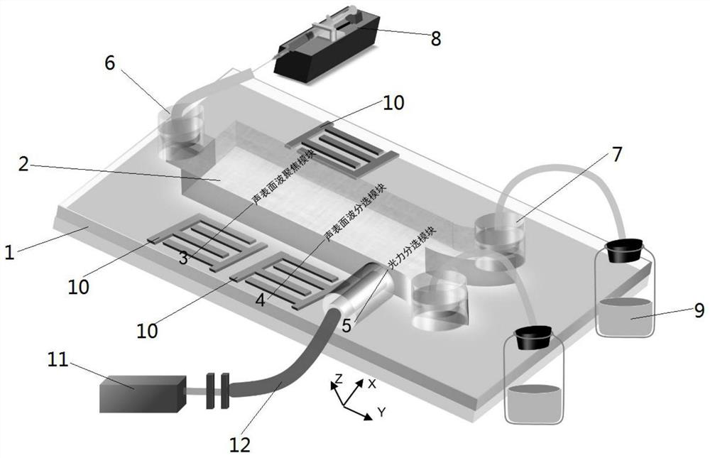 An acousto-optic microfluidic chip for accurately sorting leukocyte subtypes and its sorting method