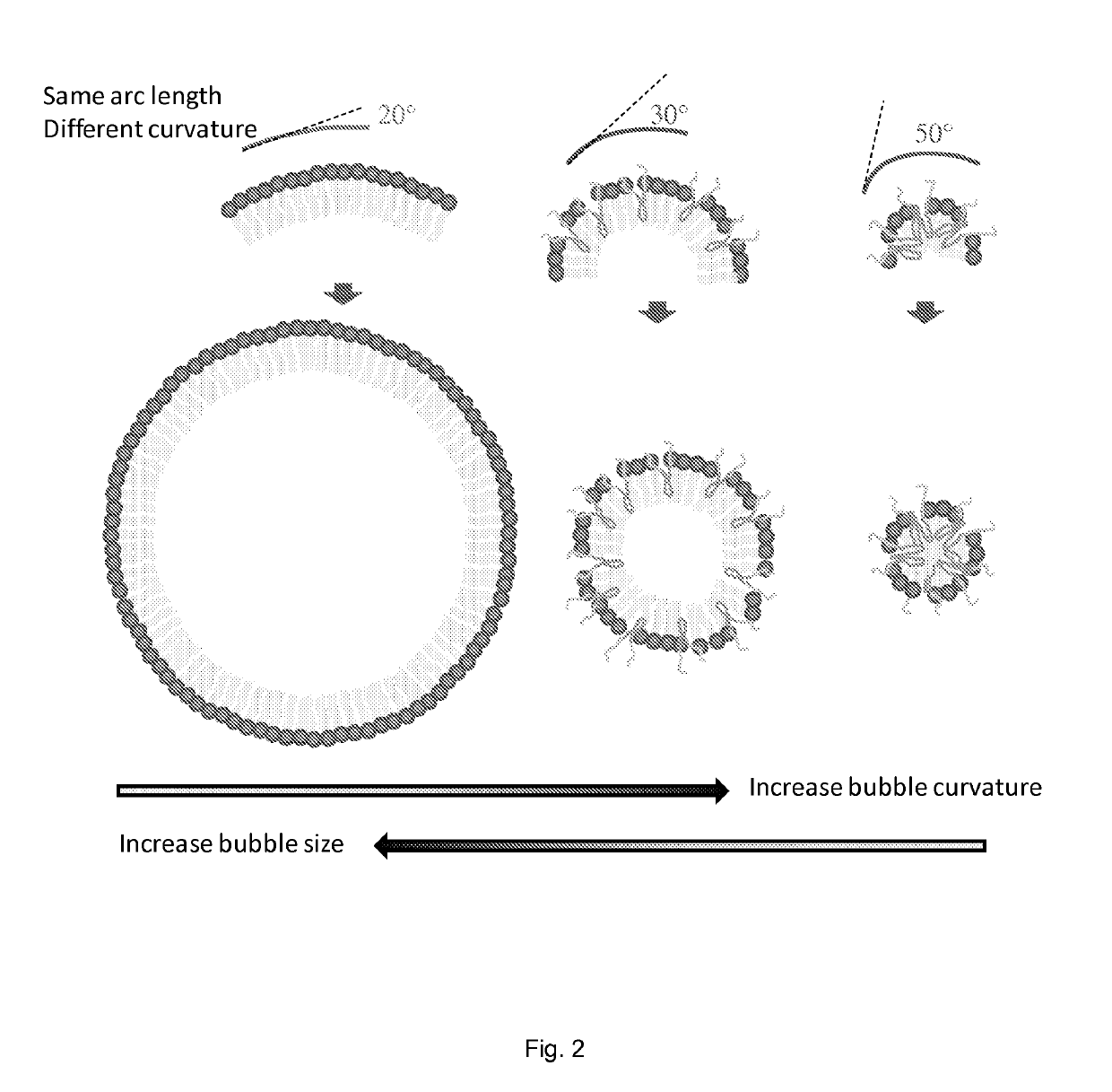 Stabilized nanobubbles for diagnostic and therapeutic applications