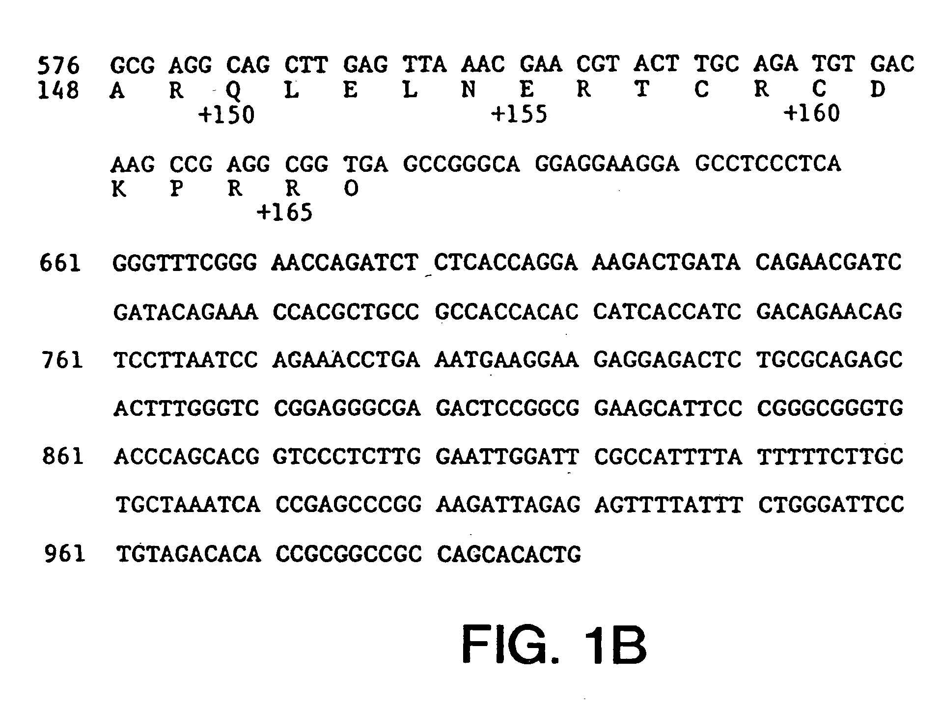 Variants of vascular endothelial cell growth factor, their uses, and processes for their production