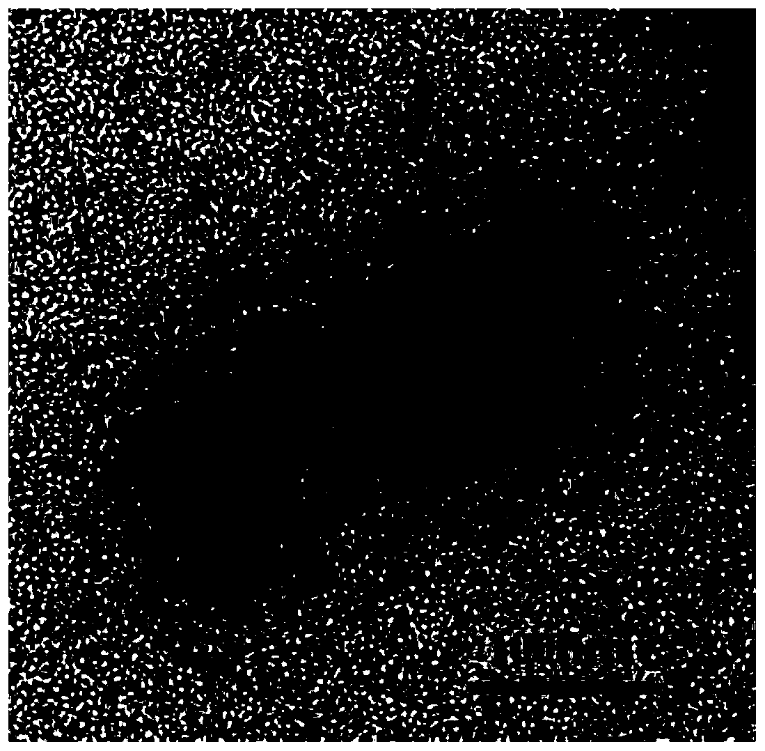 Triptolide liposome coated with platinum-gold nano shell and preparation method thereof