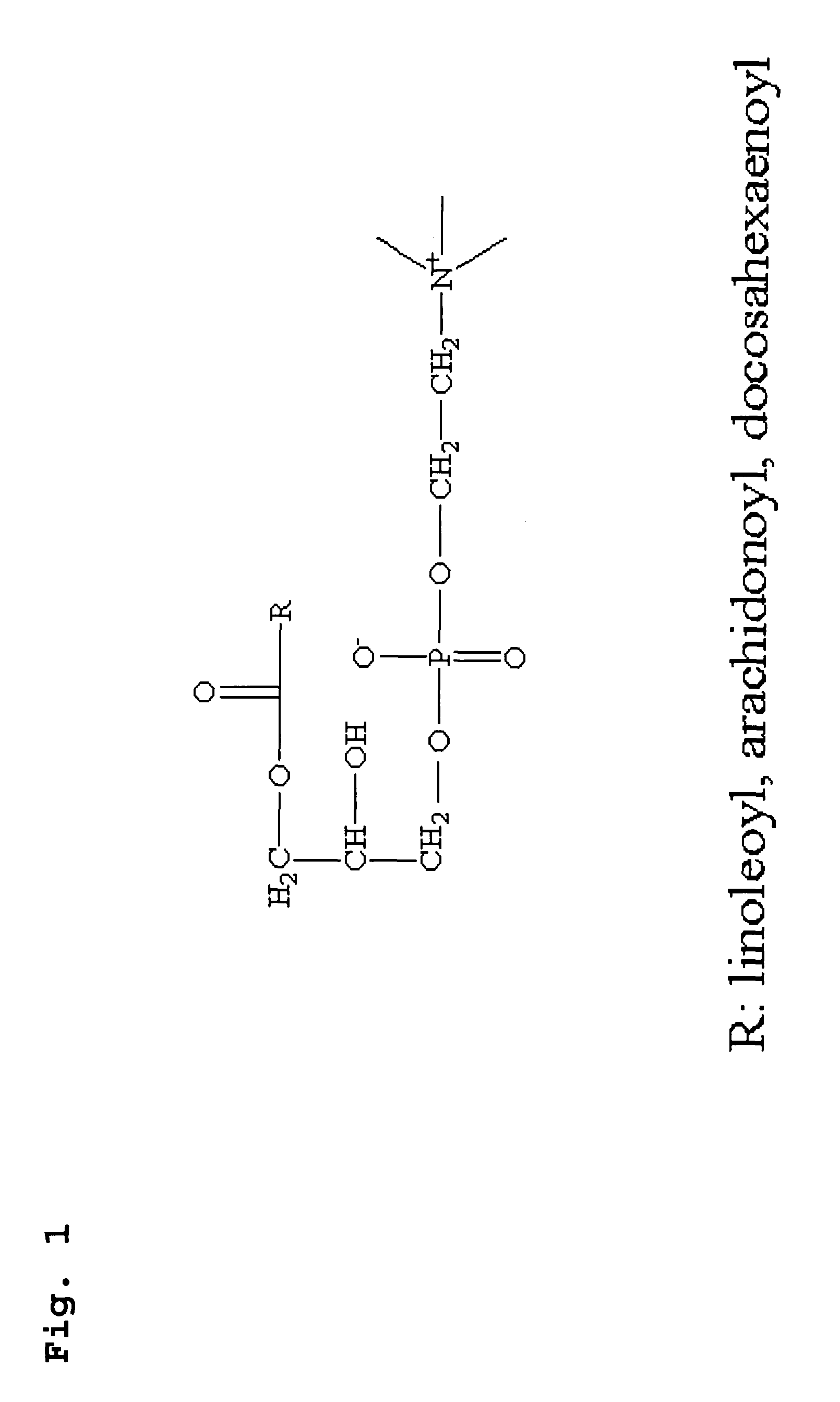 Method for analyzing the activity of lipoxygenase using a water-soluble substrate