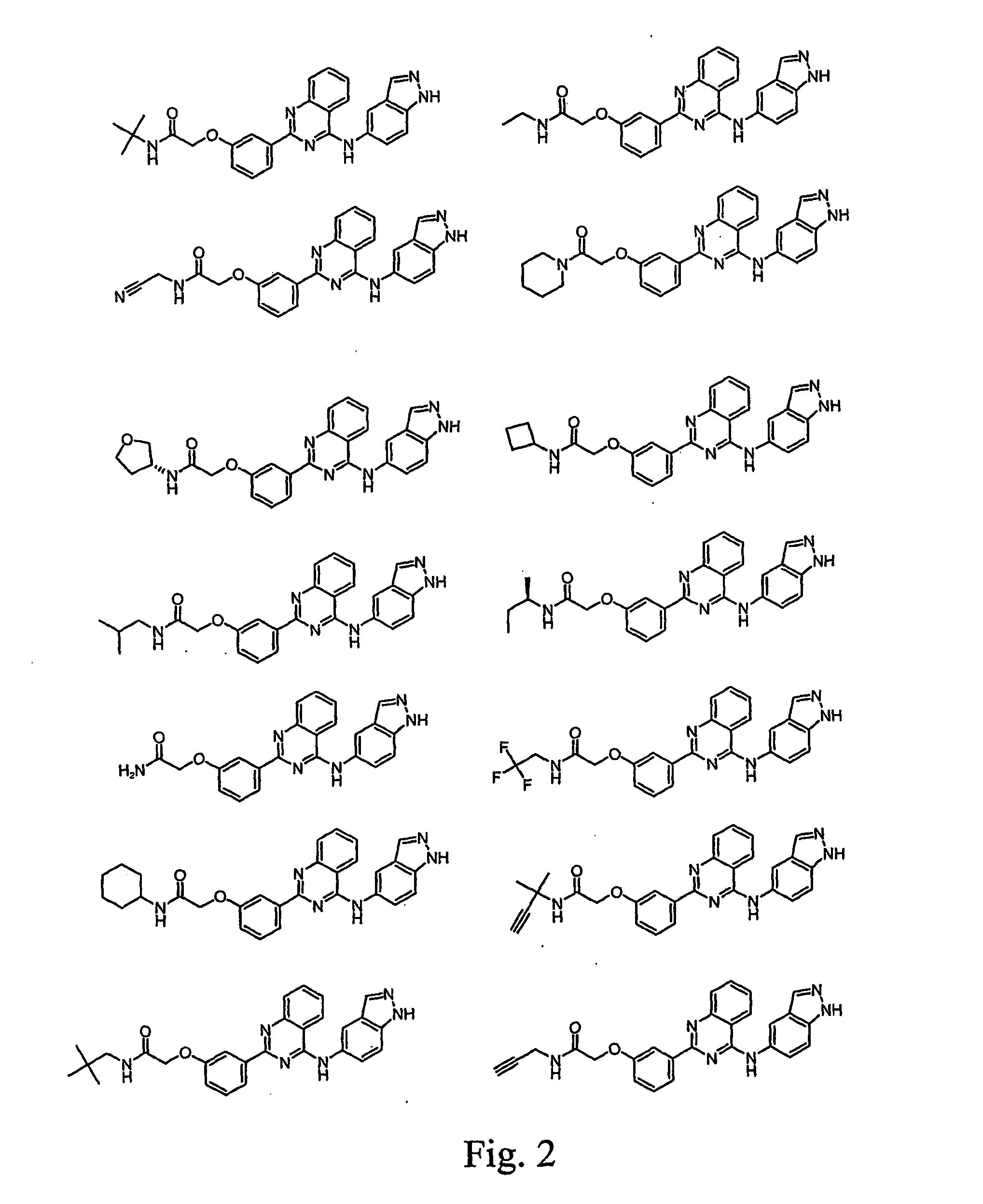 Pharmacokinetically improved compounds