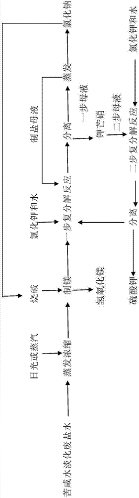 Cyclic economy technology for co-producing magnesium, potassium, salt and alkali products from brackish water desalination effluent brine