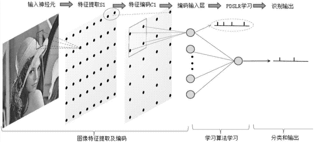 Image identification method based on Spiking neural network