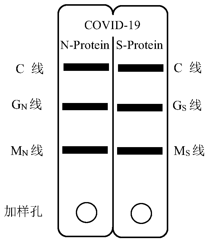 Novel coronavirus pneumonia (COVID-19) serological diagnosis kit