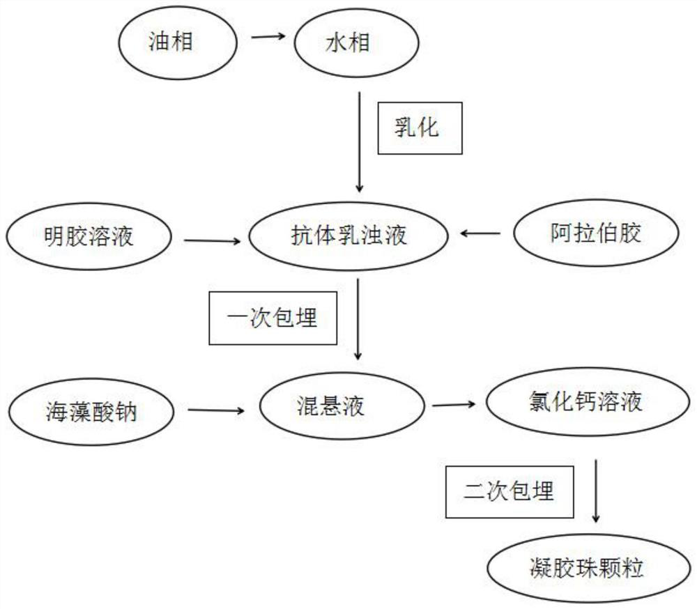 Preparation method of anti-helicobacter pylori egg yolk antibody embedded gel particles