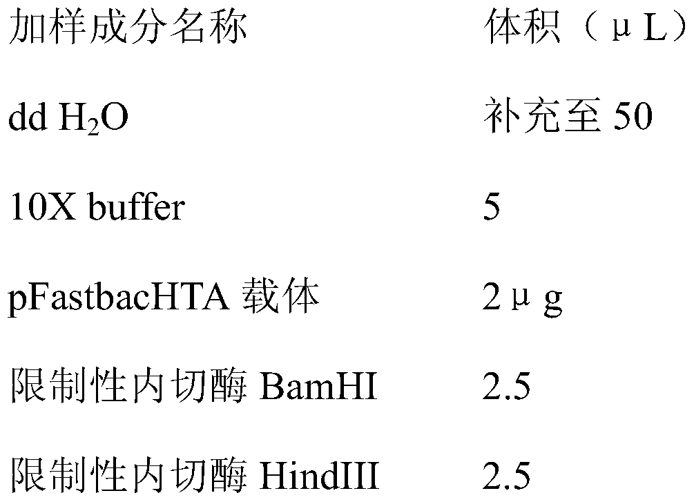 Virus-like particles of duck derived goose parvoviruses and preparation method of virus-like particles