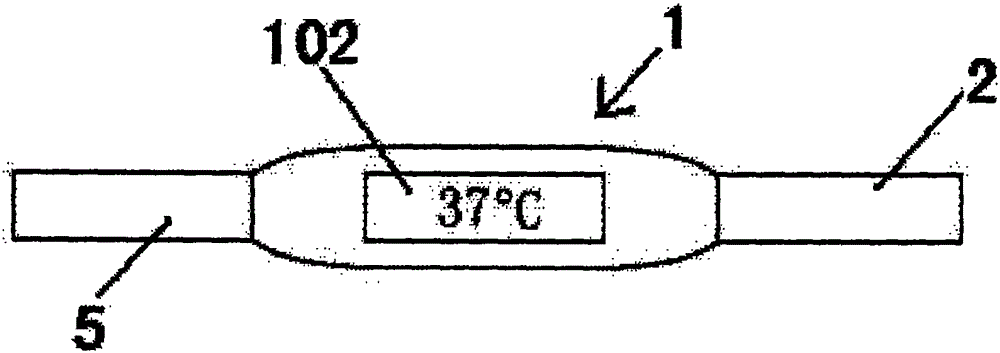 Massage wristband provided with temperature measuring apparatus