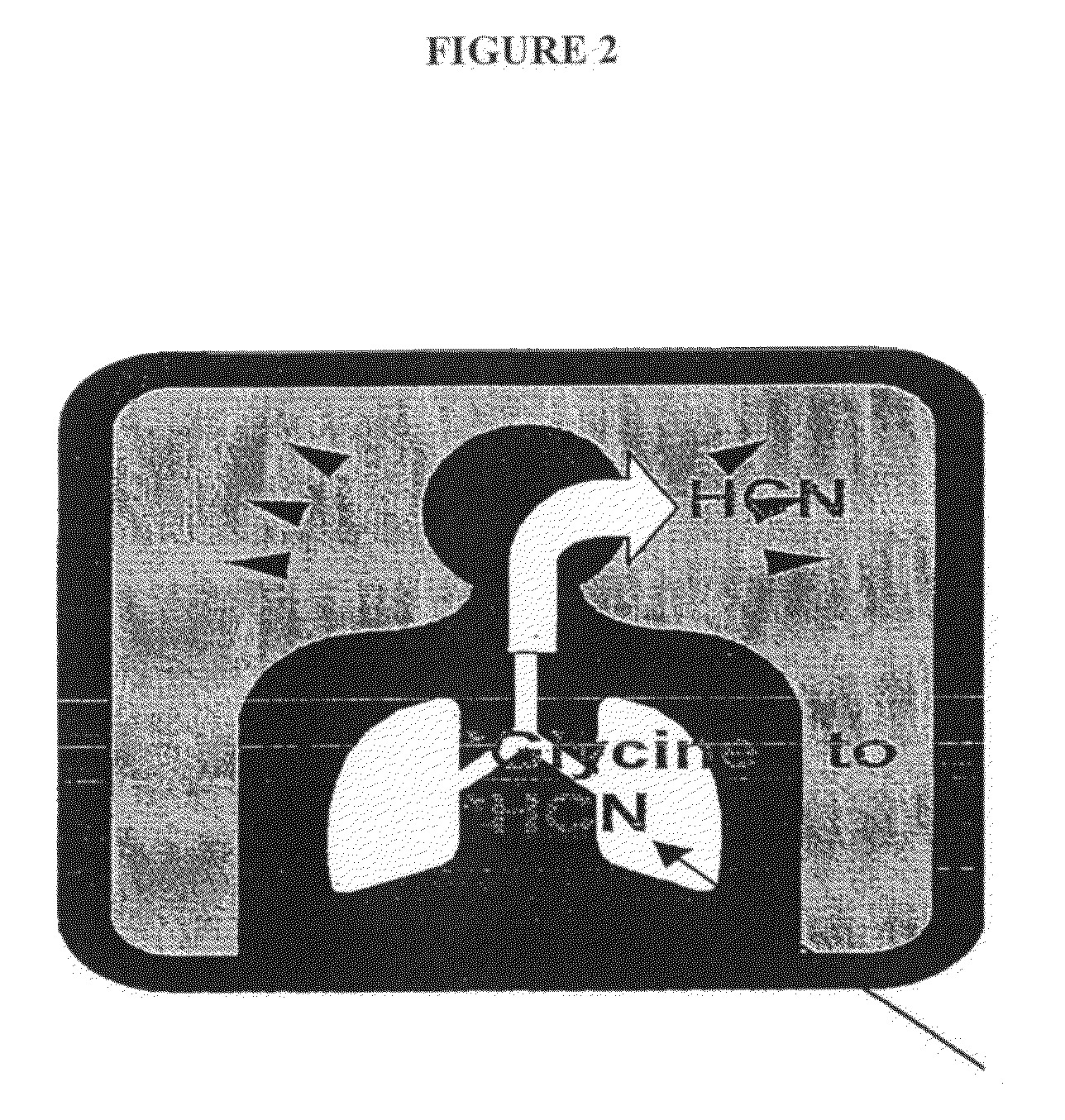 Diagnosis of P. aeruginosa infection in the lungs of patients