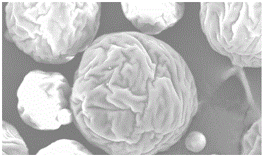 A kind of exenatide sustained-release microsphere composition