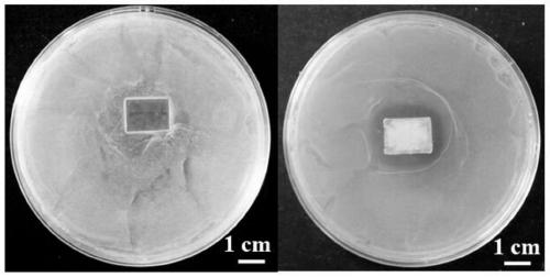 A preparation method of self-healing antibacterial microcapsule film based on host-guest interaction
