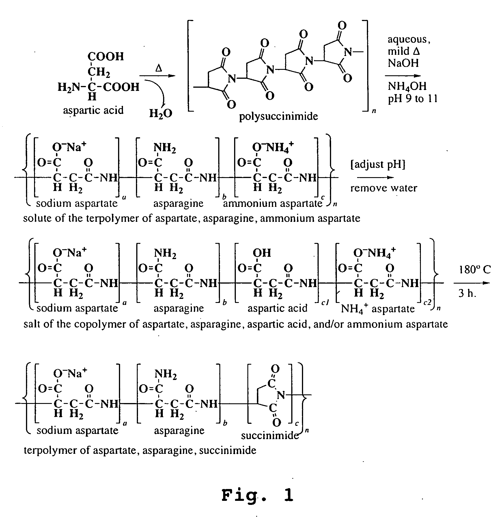 Copolymers of amino acids and methods of their production