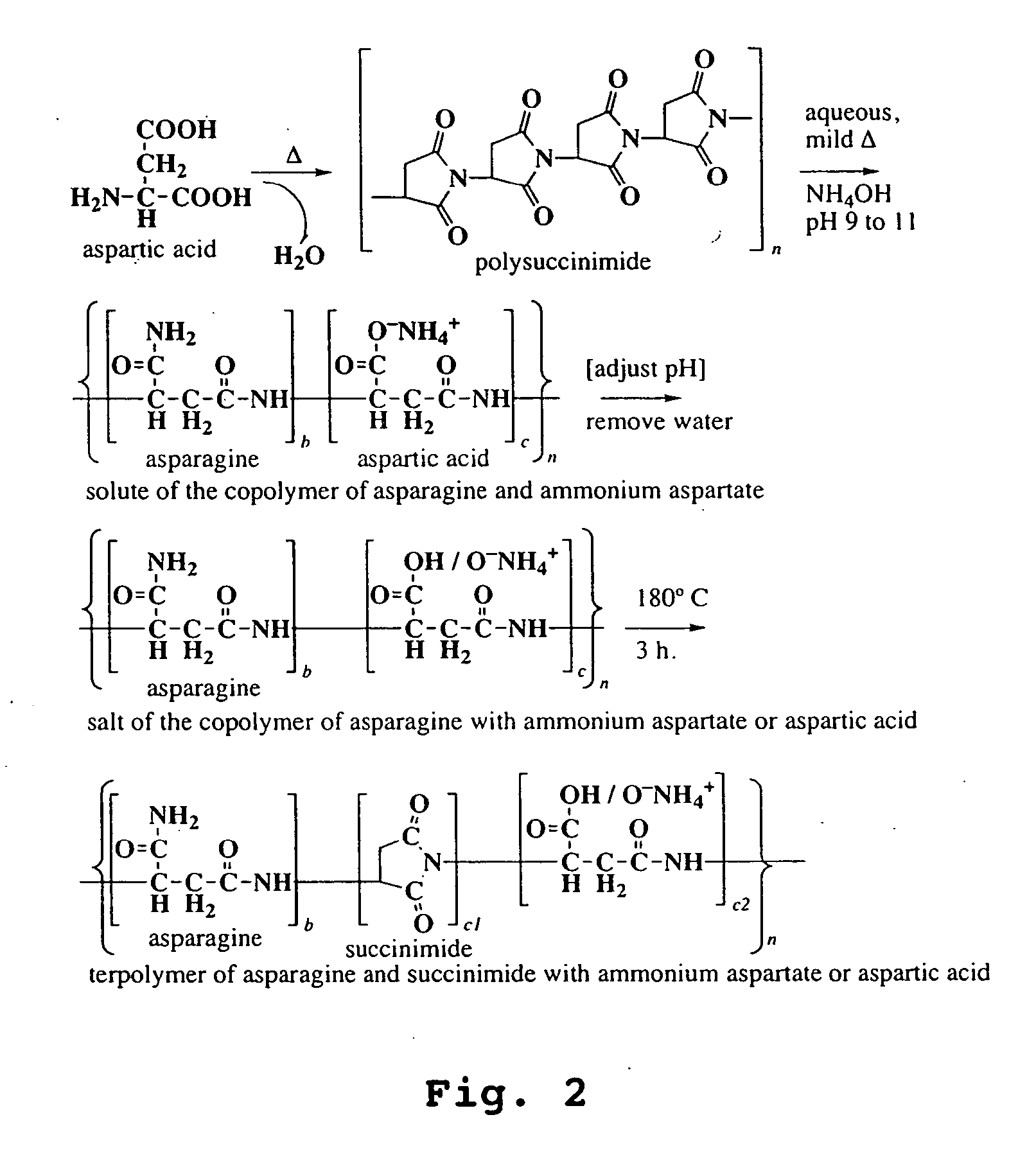 Copolymers of amino acids and methods of their production
