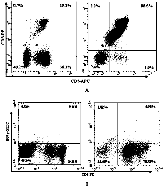 Valuation method for specific killing function of specific cytotoxicity T lymphocyte