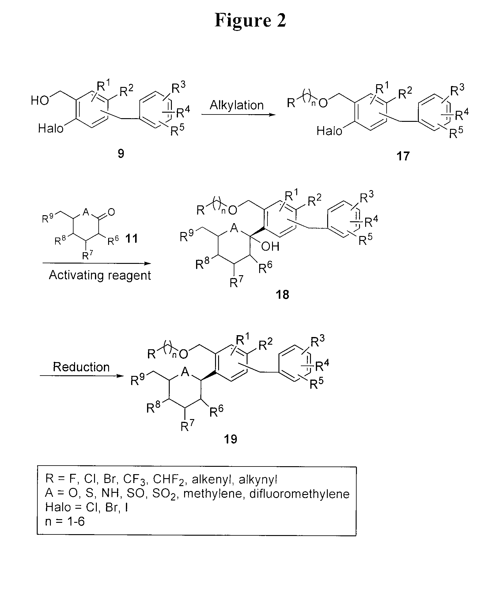 Benzylic glycoside derivatives and methods of use