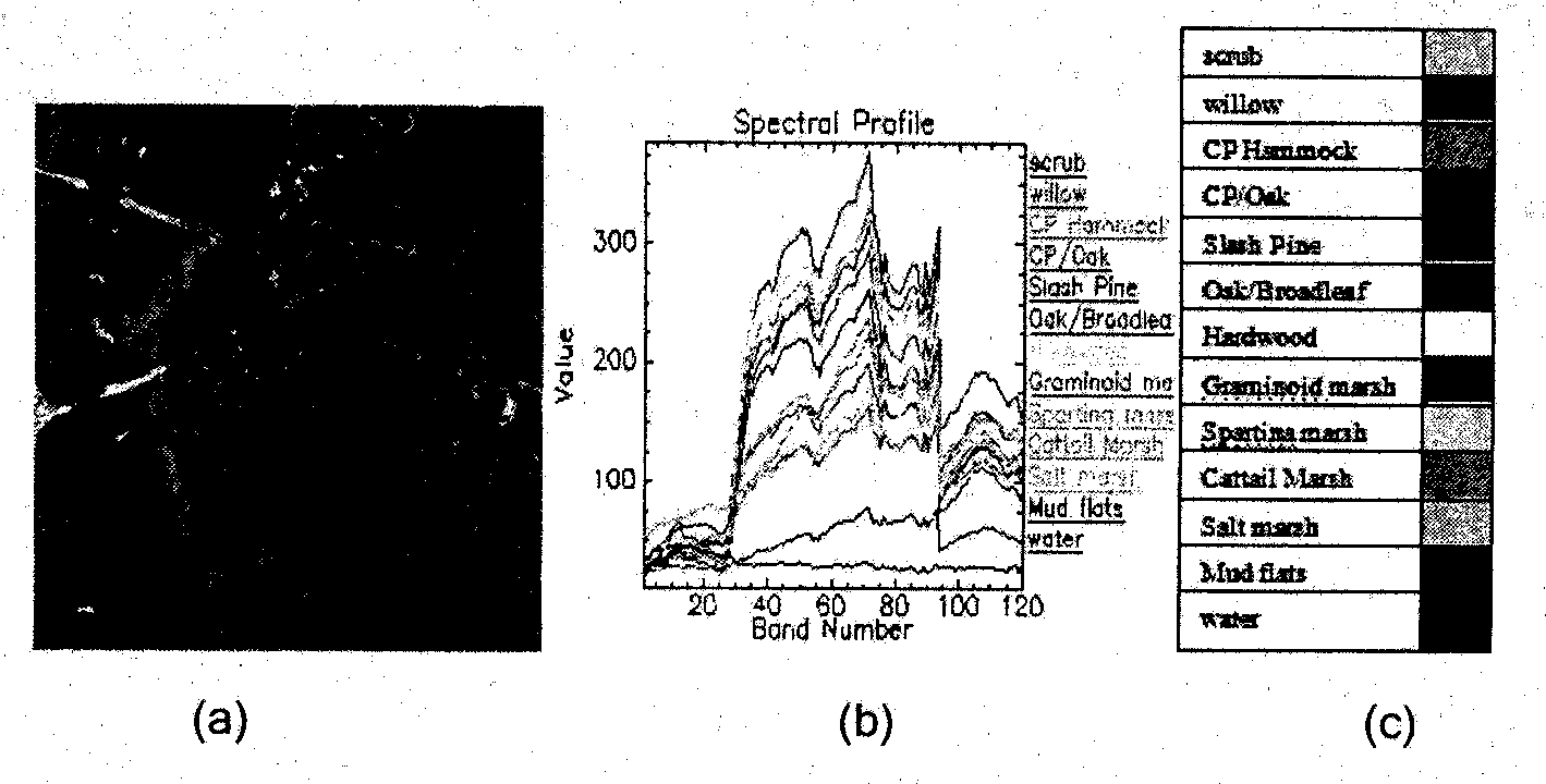 Semi-supervised hyperspectral remote sensing image classification method based on information entropies