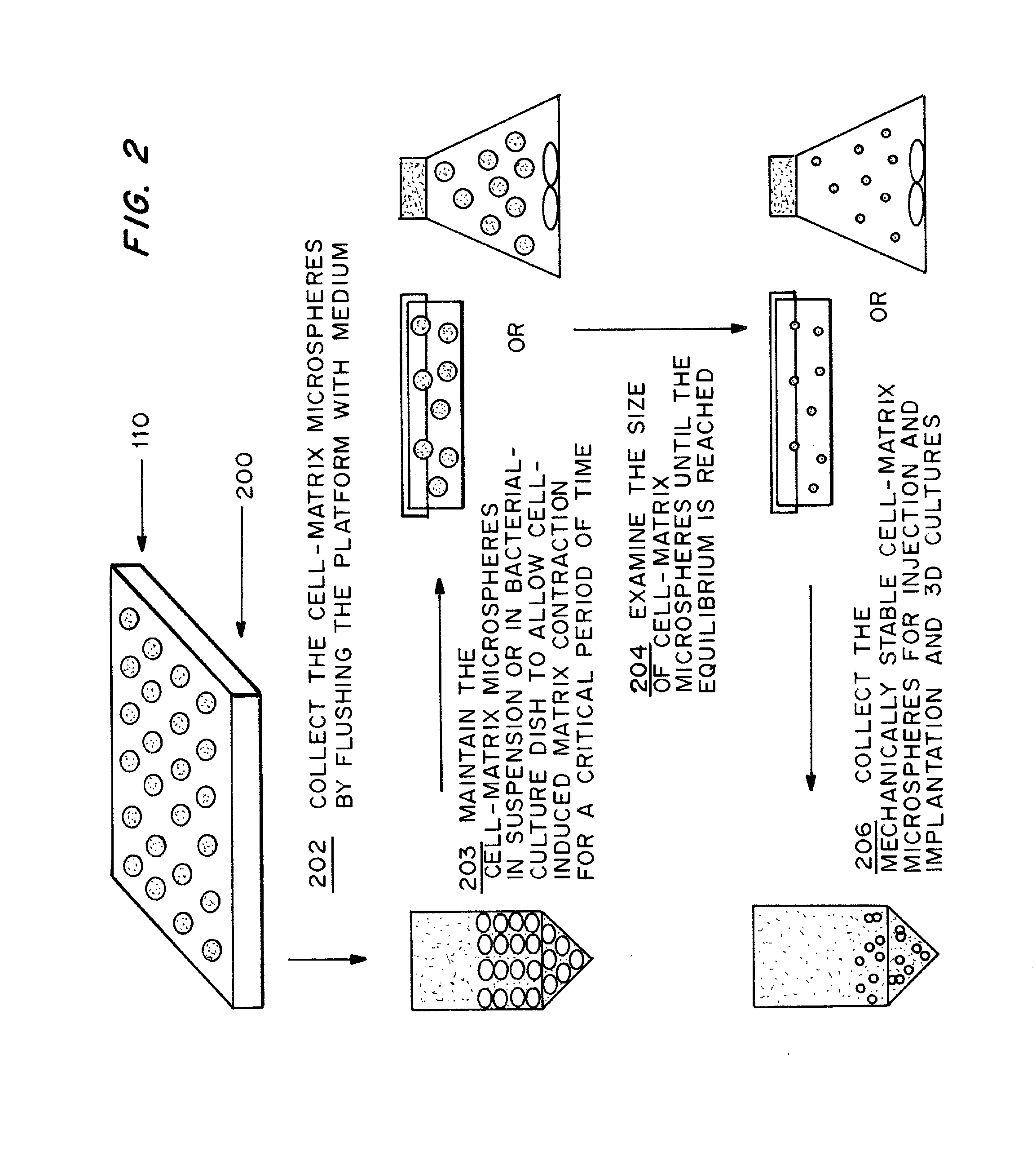 Cell-matrix microspheres, methods for preparation and applications