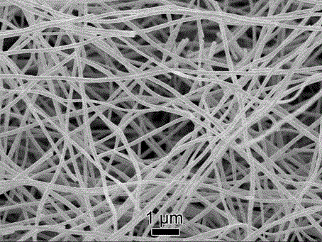 Method for preparing nano-tin/carbon composite nanofibers by electrospinning technology