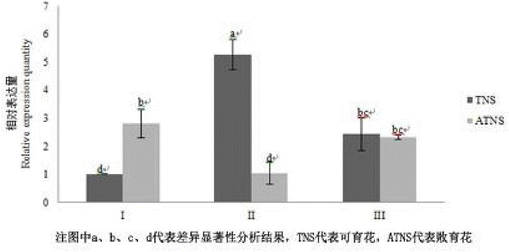 PgAG gene for regulating and controlling pomegranate blossom ovule development and application thereof