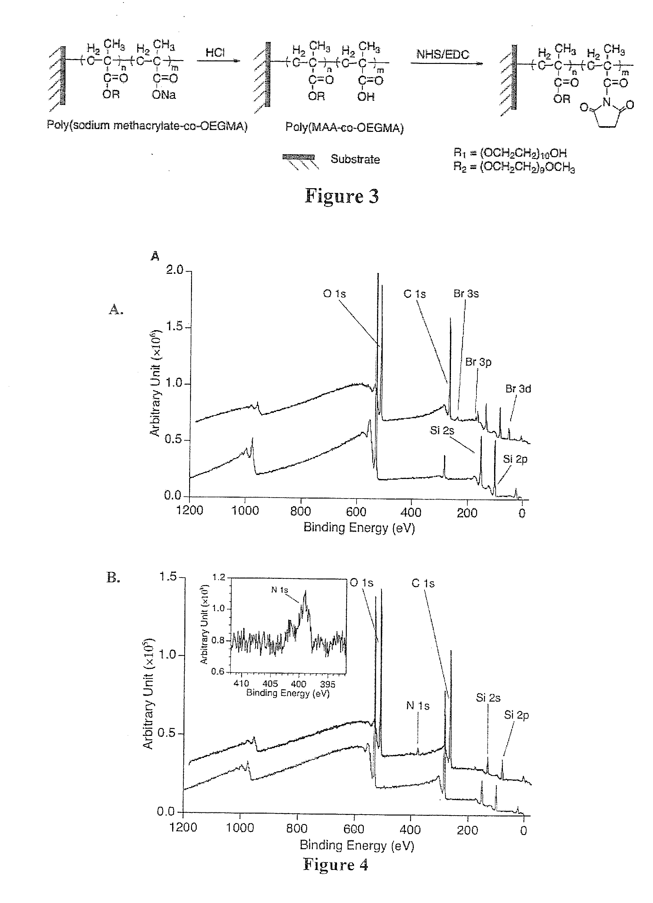 Non-fouling polymeric surface modification and signal amplification method for biomolecular detection